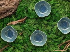 Creatable Bowls & Schüsseln|Geschirrset|Yuki - Bowl 4-tlg - Grün-blau